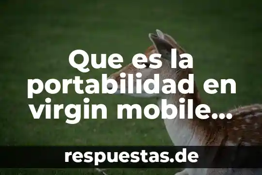 Que es la portabilidad en virgin mobile mexico