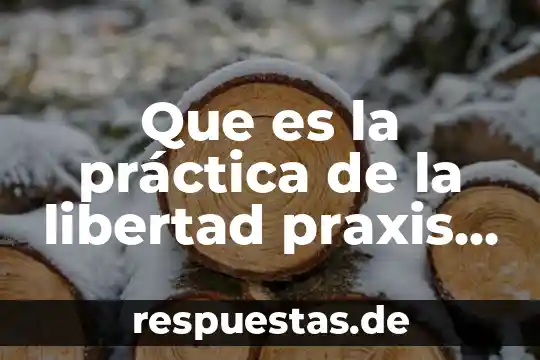 Que es una noticia libre 4 Que es la práctica de la libertad praxis enciclopedia libre