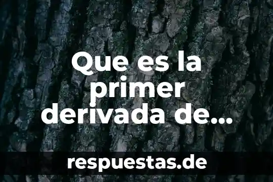 Que es lo que te representa como mexicano 8 Que es la primer derivada de una funcion representa