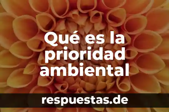Que es manejo ambiental 3 Qué es la prioridad ambiental