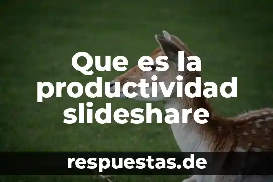 Qué es el índice de productividad IP7 5 Que es la productividad slideshare