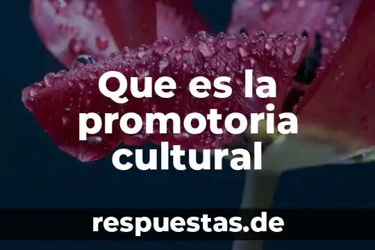 Qué es la industria cultural 3 Que es la promotoria cultural