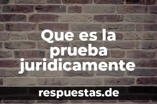 Que es la prueba juridicamente
