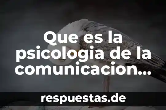 Que es la comunicación entre adolescentes 8 Que es la psicologia de la comunicacion humana