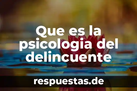 Que es el razonamiento en psicologia cognitiva 5 Que es la psicologia del delincuente