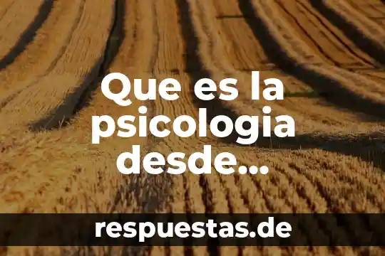 Que es una representacion grafica y que tipos diferentes existen 8 Que es la psicologia desde diferentes puntos de vista
