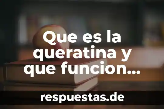 Qué es un historia clínica 3 Que es la queratina y que funcion cumple en equinos