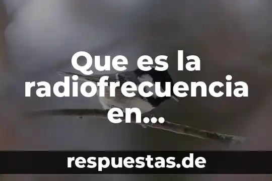 Que es el equipamiento de comunicaciones en centro de control 6 Que es la radiofrecuencia en comunicaciones