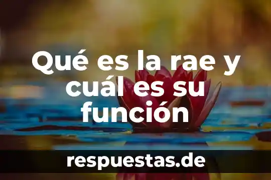 Qué es la cultura financiera y cual es su importancia 6 Qué es la rae y cuál es su función