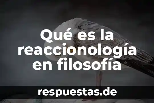 Que es la nosologia en la filosofia 7 Qué es la reaccionología en filosofía