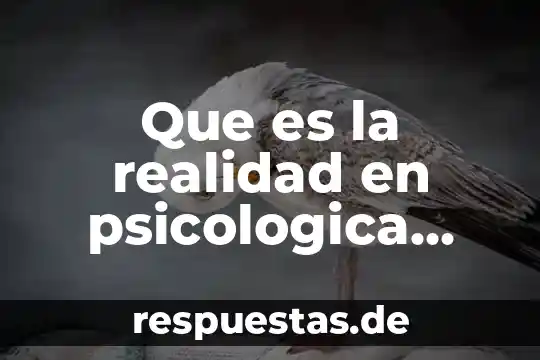 Qué es la dependencia física y psicológica 7 Que es la realidad en psicologica social