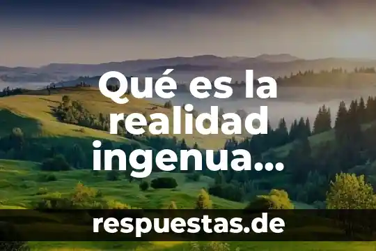 ¿Qué es un resumen intermedio definición? 7 Qué es la realidad ingenua definición