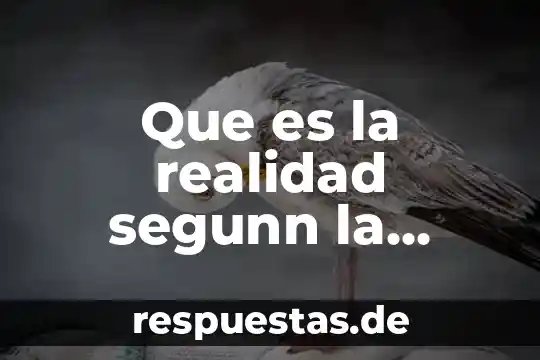 Que es la realidad segunn la psicologia social you tobe