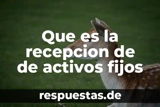 Que es la recepcion de de activos fijos