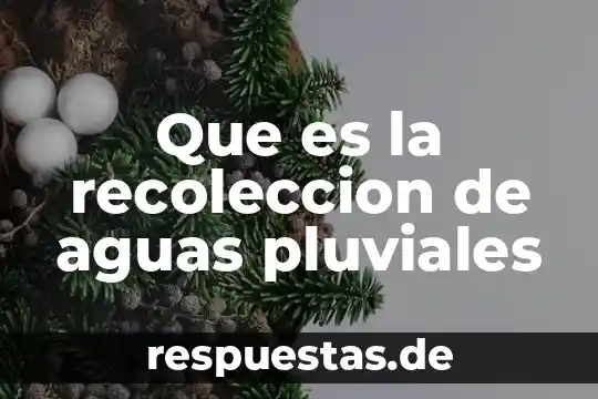 Que es la recoleccion de aguas pluviales