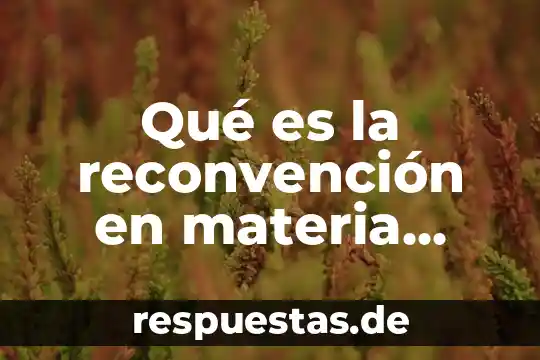 Que es sociedad familiar 4 Qué es la reconvención en materia familiar