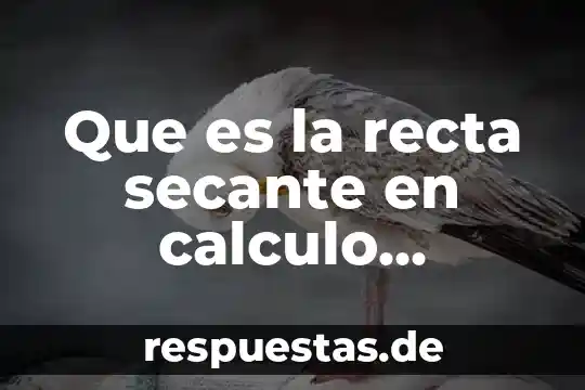 Qué es método por aproximación en cálculo diferencial definición 6 Que es la recta secante en calculo diferencial