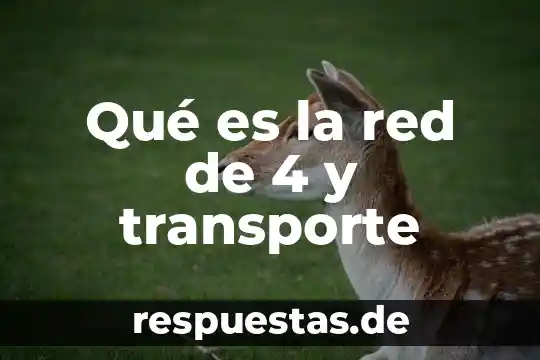 Qué es la red de 4 y transporte