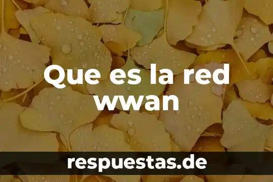 Qué es red de plancton 5 Que es la red wwan