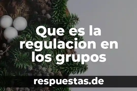 Que es la fiscalia especializada en grupos vulnerables 7 Que es la regulacion en los grupos