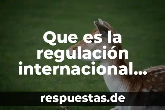 Qué es número del comercio 7 Que es la regulación internacional de comercio