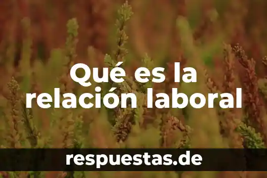 Que es un paradigma medico 4 Qué es la relación laboral