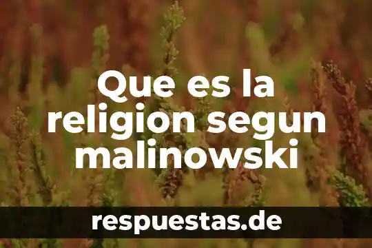 Que es la posmodernidad segun bauman 8 Que es la religion segun malinowski