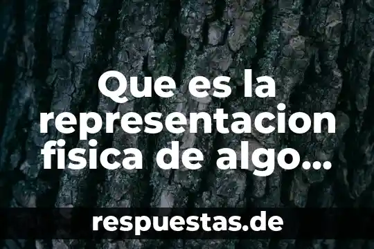 Qué es la representación gráfica de los mayas 5 Que es la representacion fisica de algo real de ciencias