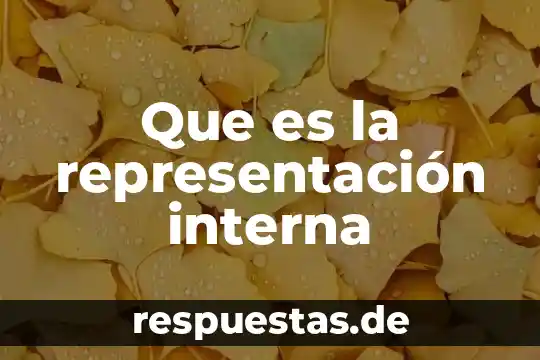 Qué es la representación gráfica de los mayas 6 Que es la representación interna