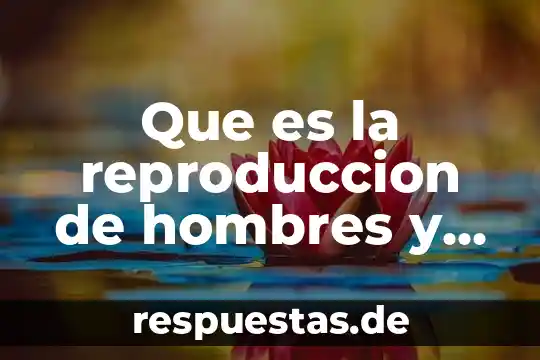 Que es la reproduccion de hombres y mujeres