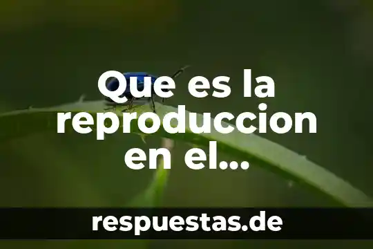 Qué es el área funcional de reproducción 4 Que es la reproduccion en el organismo