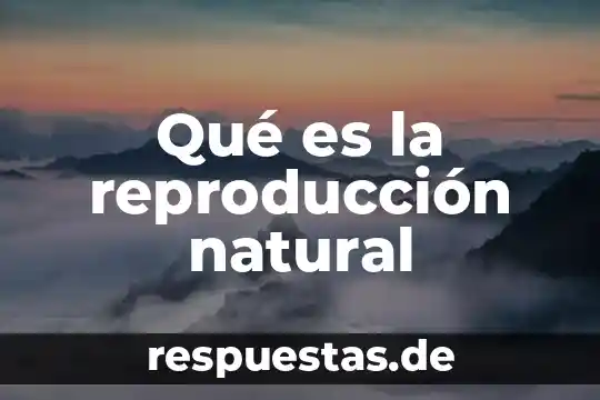 Qué es el área funcional de reproducción 5 Qué es la reproducción natural