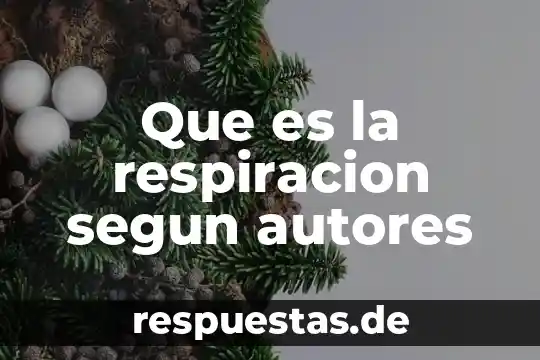 Qué es la música y su importancia en preescolar con autores 6 Que es la respiracion segun autores