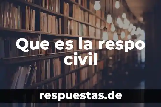 Que es una asociacicion civil 8 Que es la respo civil