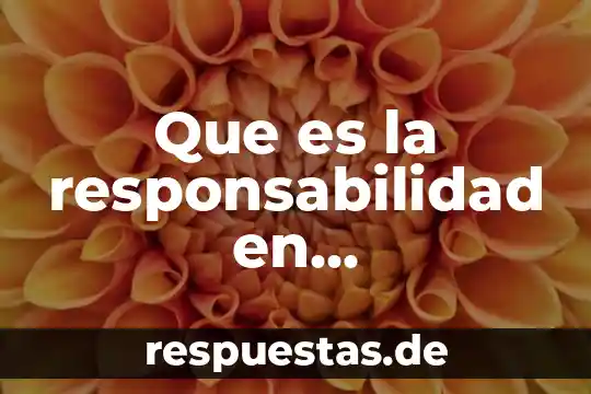 Responsabilidad ambiental que es 4 Que es la responsabilidad en programacion