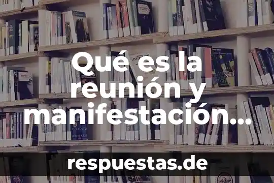 Rectificacion de nombre en escritura publica que es 8 Qué es la reunión y manifestación pública