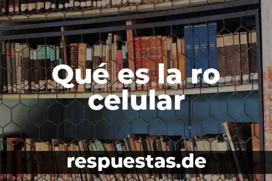 Qué es el polietileno concepto 8 Qué es la ro celular