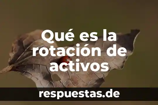 Que es el movimiento de rotacion fisica 6 Qué es la rotación de activos