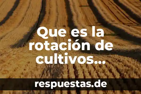 Qué es rotación de un cuerpo y fórmula 6 Que es la rotación de cultivos resumen