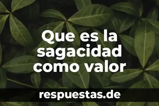 Que es la sagacidad como valor