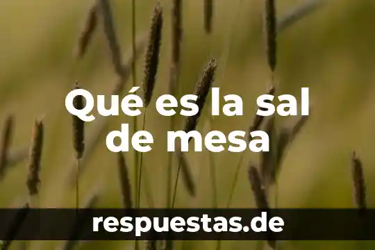 Que es una mesa redonda como medio de comunicación formal 8 Qué es la sal de mesa