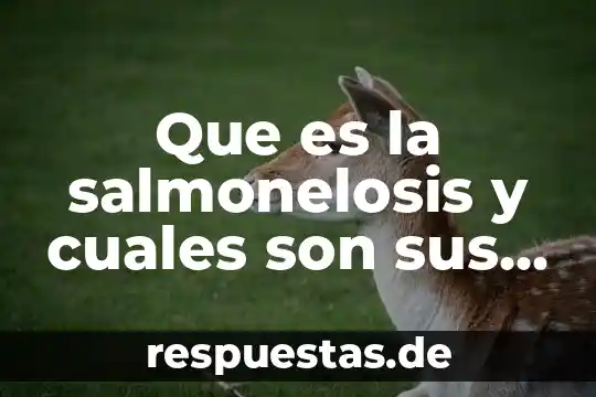 Qué es número de oxidación y cuáles son sus reglas 7 Que es la salmonelosis y cuales son sus causas