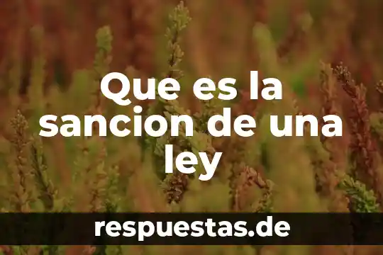 Que es la acción antijuridica y la sanción 7 Que es la sancion de una ley