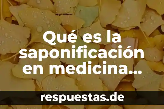 Que es el nombre legal en derecho 3 Qué es la saponificación en medicina legal