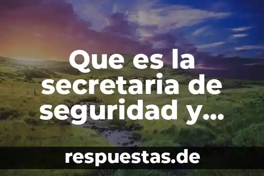Que es seguridad ciudadana en panama 6 Que es la secretaria de seguridad y proteccion ciudadana