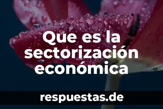 Que es la sectorización económica