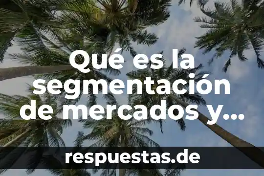 Qué es la segmentación de mercados y para qué sirve
