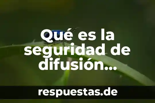 Qué es la seguridad de difusión informática