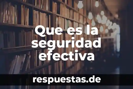 Que es efectiva y no efectiva 5 Que es la seguridad efectiva