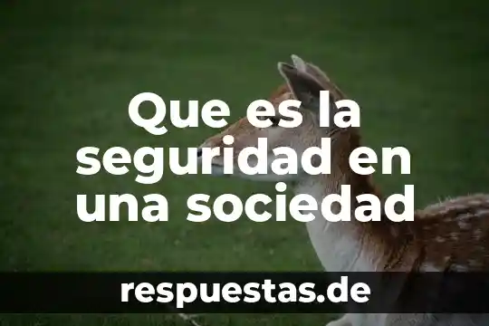 Que es seguridad dmz modem infinitum 4 Que es la seguridad en una sociedad